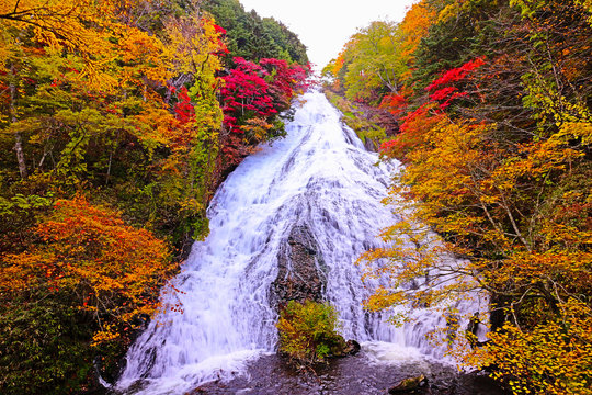 湯滝 の画像 502 件の Stock 写真 ベクターおよびビデオ Adobe Stock