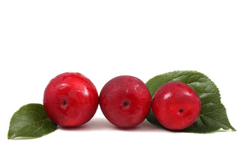 Red plums and leaves