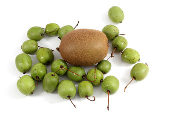 Kiwi and little kiwi fruits