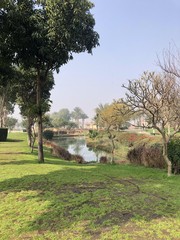 Obraz premium islamic landscabe park green ancient tree view 