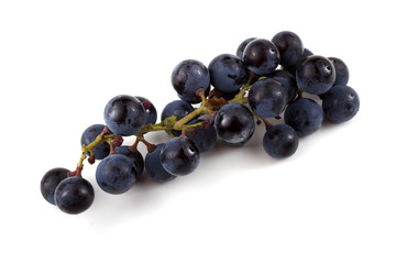 Black wine grape