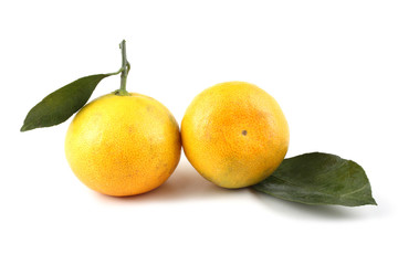 Mandarin oranges and leaves