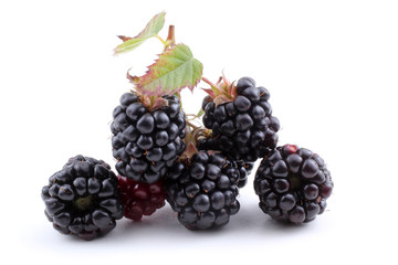 Cluster of blackberries