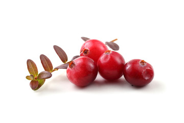 Cranberries and leaves