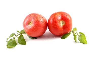 Two red tomatoes on leaves