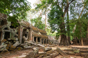 Ruin in Ta Prohm Temple, Angkor complex. Siem Reap, Cambodia.