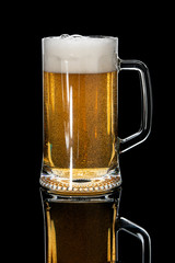 lager beer in glass on black background