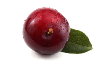 Plum and leaf