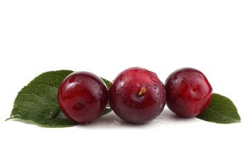 Plums and leaves
