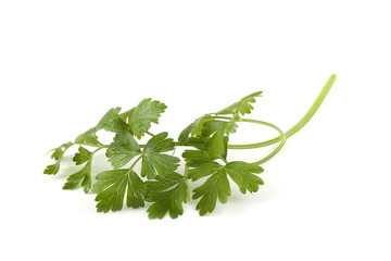 Parsley