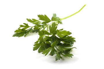 Parsley