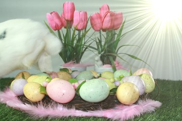 Osterhase springt weg, Easter bunny jumps away