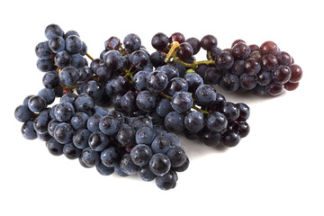 Black wine grape