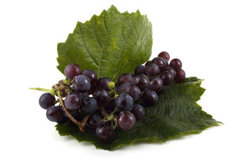 Black wine grape on leaf