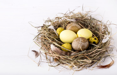nest with colored easter eggs on white wooden background