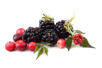 Blackberries and cranberries