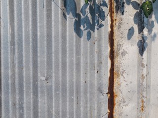 texture metal corrosive of wall with leaves branch shadow