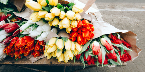 Many multicolored tulips flower on market. Womans day and mothers day concept. Nature background. Stock photo for any purposes.