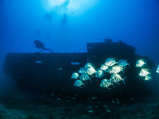 dive wreck