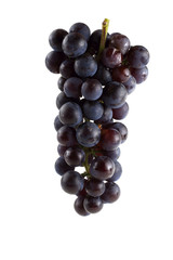 Black wine grape