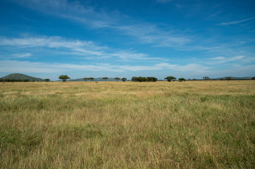 serengeti national park