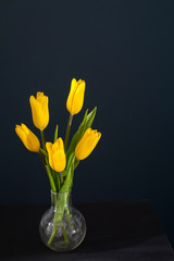 bouquet of yellow tulips is on the table opposite dark blue wall