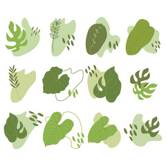 Vector set of abstract green tropical leaves and shapes. Cartoon exotic leaves. Perfect for textile, wrapping paper, stickers