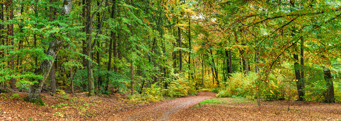 Idyllischer Herbstwald im Altmühltal