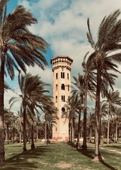 alexandria egypt architecture green tree lighthouse