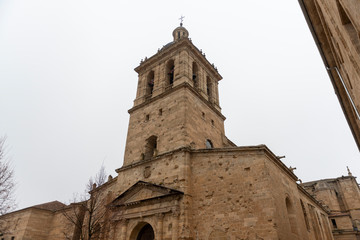 CATEDRAL CIUDAD RODRIGO DETALLES 2018