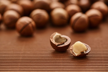 fresh macadam nut