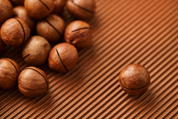 fresh macadam nut