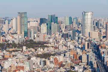 Fototapeta premium 〈東京都渋谷区〉渋谷スカイから東京の景色