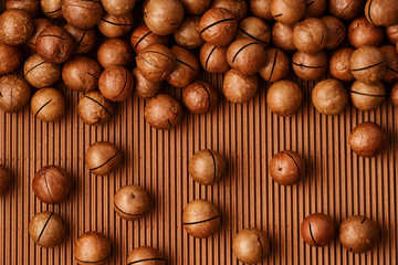 fresh macadam nut