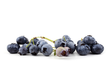 Blueberries