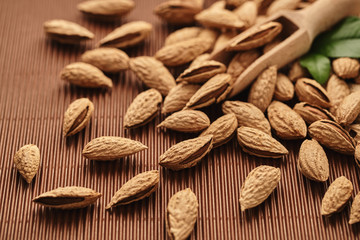 fresh almond nut close-up