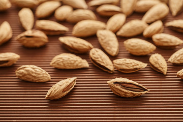 fresh almond nut close-up