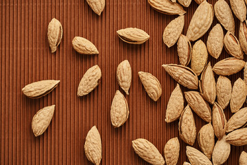 fresh almond nut close-up