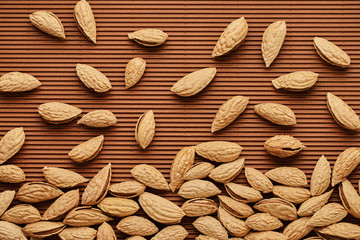 fresh almond nut close-up