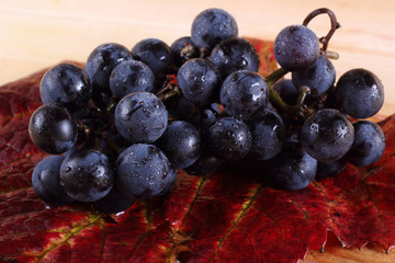 Black wine grape on autumn leaf