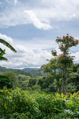 Colombia