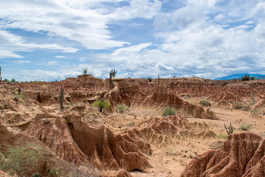 รูปภาพSudoeste เลือกดูภาพถ่ายสต็อก เวกเตอร์ และวิดีโอ954 Adobe Stock