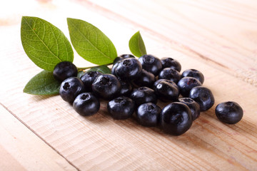 Blueberry harvest