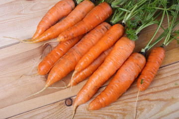 Carrots harvest