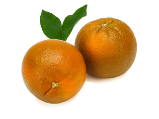 Fresh extra sweet Chocolate oranges, close-up on white background