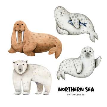Set with watercolor northern animals. Seals, polar bear, walrus are isolated on white background. Hand drawn illustration for clothes, stickers, baby shower, cards, prints, fabrics.