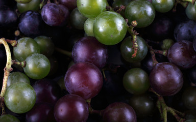 Different color grape