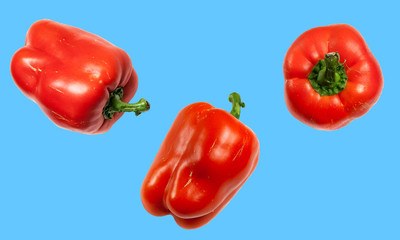 red peppers isolated on blue background