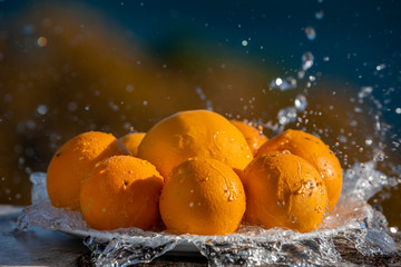 Still life eight oranges on white plate with water drops spraying, selective focus on the left front orange
