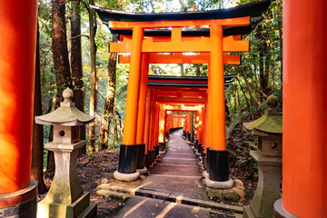 Japan. Kyoto. Fushimi Inari Shrine. Red Gate of the temple. Arches while climbing Mount Inari in Kyoto. Travel to temples of Japan. A road in the middle of arches in the Japanese Forest.